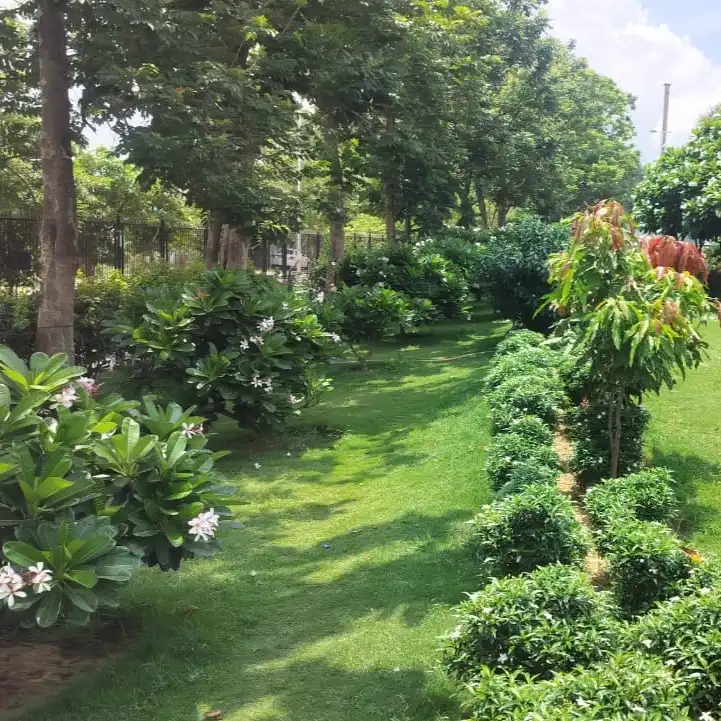 Ranchi Airport, Jharkhand