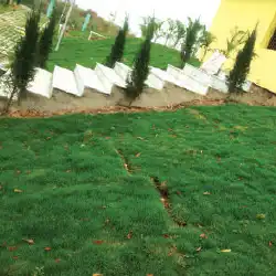 Shri Dumri Park, Jharkhand