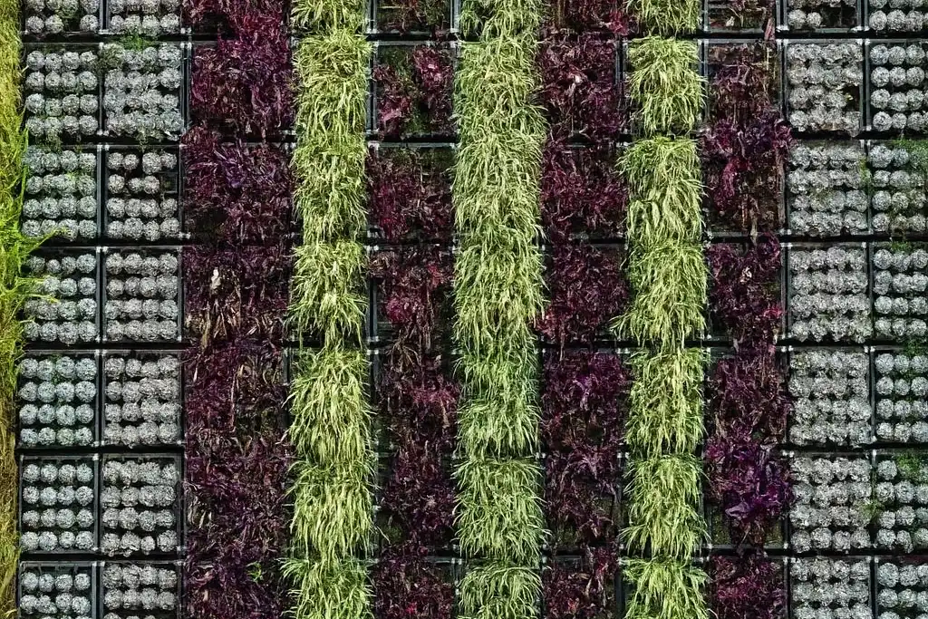Vertical Gardening