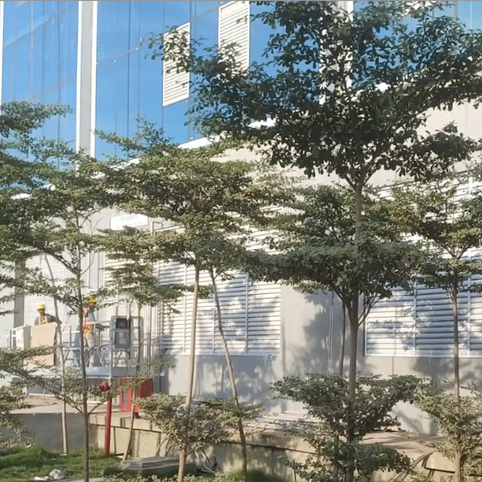 Patna Medical College