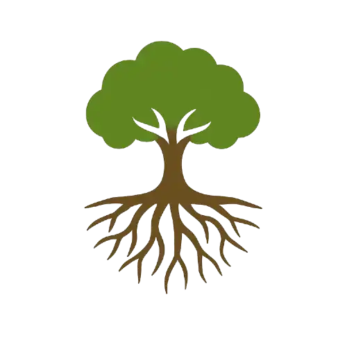 Miyawaki Forest Solutions