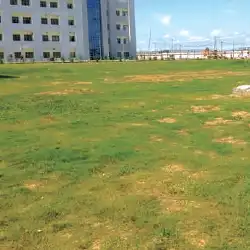 Medical College Palamu