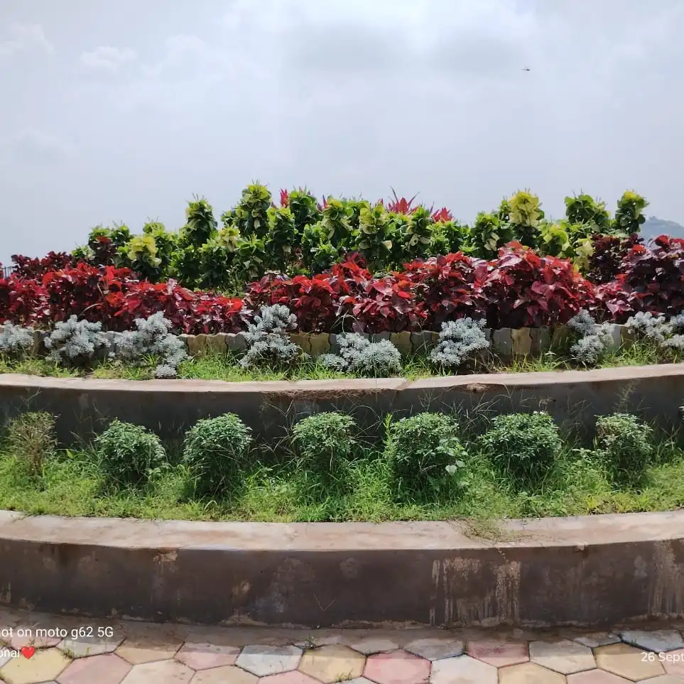 Central Univ. of Jharkhand